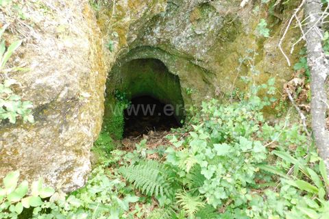 Landejendom i Seia, Guarda, Seia - € 37.000 | Ref: 382230093 - foto 13