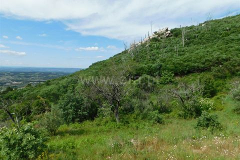 Landejendom i Seia, Guarda, Seia - € 37.000 | Ref: 382230093 - foto 15