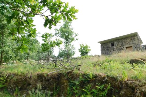 Landejendom i Seia, Guarda, Seia - € 37.000 | Ref: 382230093 - foto 16