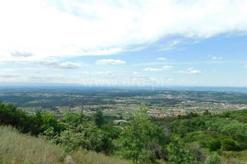 Landejendom i Seia, Guarda, Seia - € 37.000 | Ref: 382230093 - foto 18