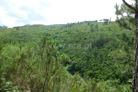 Helårsgrund i Seia, Guarda, Seia - € 25.000 | Ref: 382230104 - foto 2