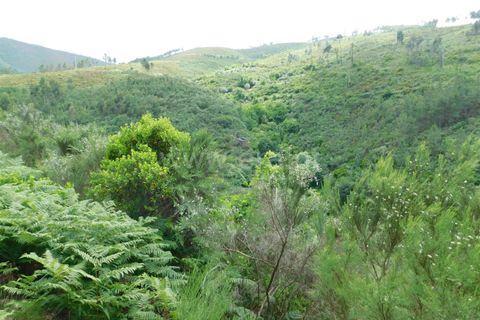 Helårsgrund i Seia, Guarda, Seia - € 25.000 | Ref: 382230104 - foto 3