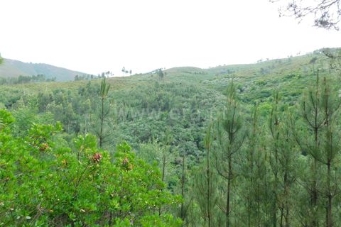 Helårsgrund i Seia, Guarda, Seia - € 25.000 | Ref: 382230104 - foto 5
