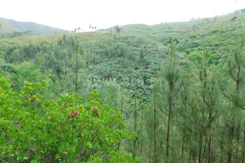 Helårsgrund i Seia, Guarda, Seia - € 25.000 | Ref: 382230104 - foto 6