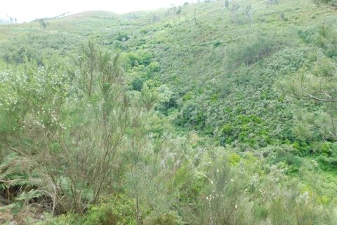 Helårsgrund i Seia, Guarda, Seia - € 25.000 | Ref: 382230104 - foto 8