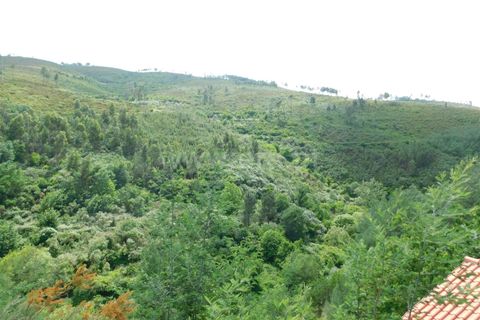 Helårsgrund i Seia, Guarda, Seia - € 25.000 | Ref: 382230104 - foto 9