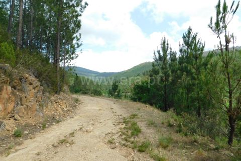 Helårsgrund i Seia, Guarda, Seia - € 25.000 | Ref: 382230104 - foto 11