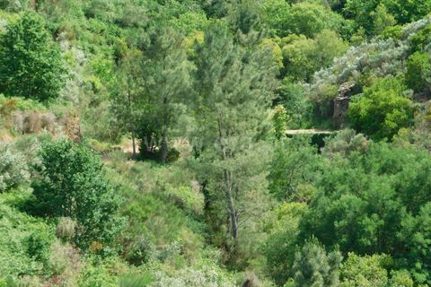 Helårsgrund i Seia, Guarda, Seia - € 25.000 | Ref: 382230104 - foto 12