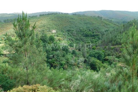 Helårsgrund i Seia, Guarda, Seia - € 25.000 | Ref: 382230104 - foto 13
