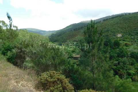Helårsgrund i Seia, Guarda, Seia - € 25.000 | Ref: 382230104 - foto 14
