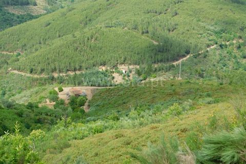 Helårsgrund i Seia, Guarda, Seia - € 25.000 | Ref: 382230104 - foto 16
