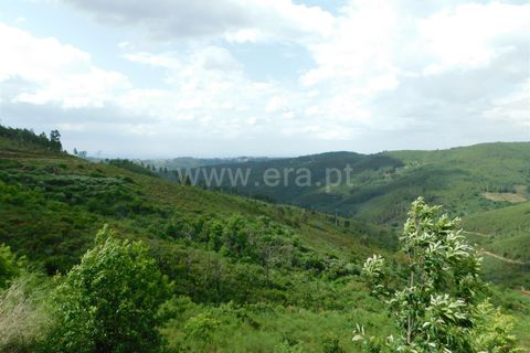 Helårsgrund i Seia, Guarda, Seia - € 25.000 | Ref: 382230104 - foto 17