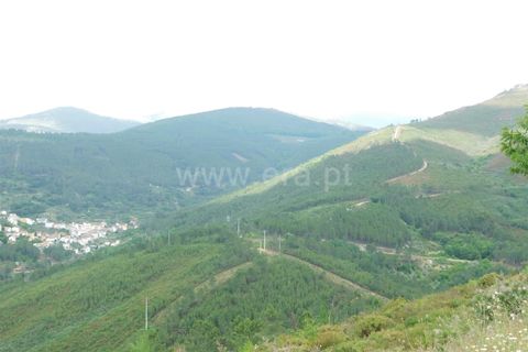 Helårsgrund i Seia, Guarda, Seia - € 25.000 | Ref: 382230104 - foto 19