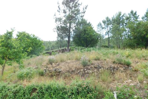 Farm i Seia, Guarda, Seia - € 97.500 | Ref: 382230108 - foto 4