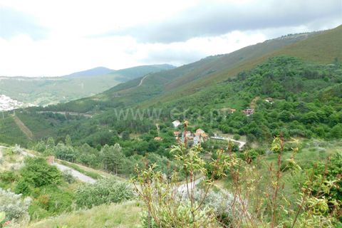 Farm i Seia, Guarda, Seia - € 97.500 | Ref: 382230108 - foto 6