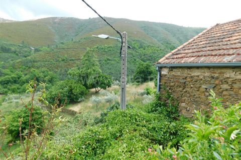 Farm i Seia, Guarda, Seia - € 97.500 | Ref: 382230108 - foto 7