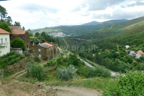 Farm i Seia, Guarda, Seia - € 97.500 | Ref: 382230108 - foto 8