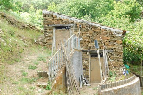 Farm i Seia, Guarda, Seia - € 97.500 | Ref: 382230108 - foto 10