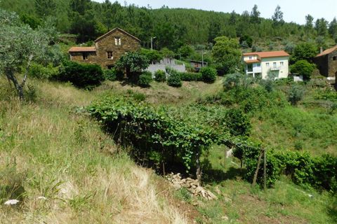 Farm i Seia, Guarda, Seia - € 97.500 | Ref: 382230108 - foto 17