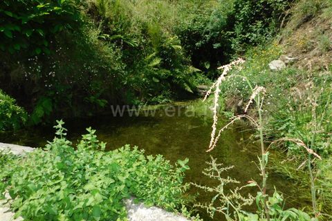 Farm i Seia, Guarda, Seia - € 97.500 | Ref: 382230108 - foto 18