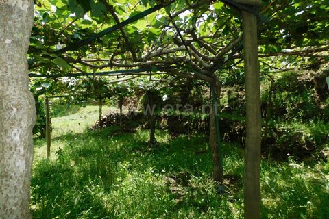 Farm i Seia, Guarda, Seia - € 97.500 | Ref: 382230108 - foto 19