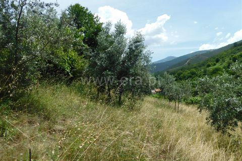 Farm i Seia, Guarda, Seia - € 97.500 | Ref: 382230108 - foto 20