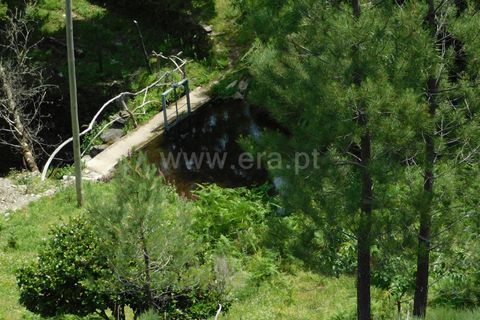 Farm i Seia, Guarda, Seia - € 97.500 | Ref: 382230108 - foto 22