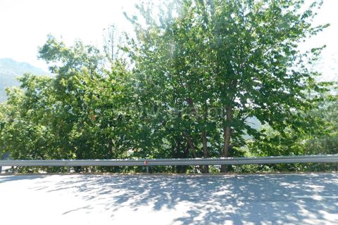 Terra a Seia, Guarda, Seia - € 28.500 | Ref: 382230143 - foto 8