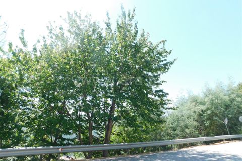Terra a Seia, Guarda, Seia - € 28.500 | Ref: 382230143 - foto 9