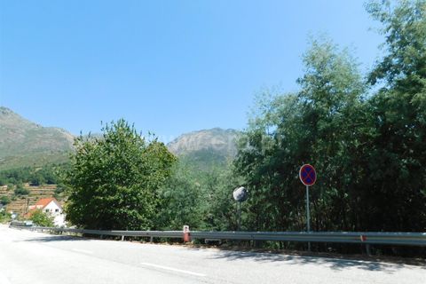 Terra a Seia, Guarda, Seia - € 28.500 | Ref: 382230143 - foto 12