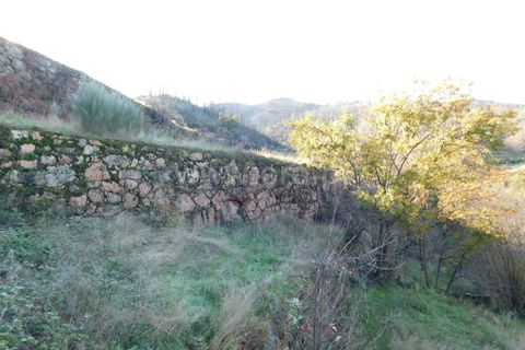 Granja a Seia, Guarda, Seia - € 70.000 | Ref: 382220091 - foto 4