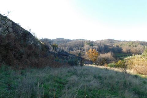 Granja a Seia, Guarda, Seia - € 70.000 | Ref: 382220091 - foto 6