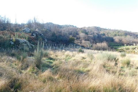 Granja a Seia, Guarda, Seia - € 70.000 | Ref: 382220091 - foto 8