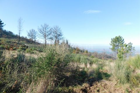 Tomt i Seia, Guarda, Seia - € 20 000 | Ref: 382220092 - foto 2