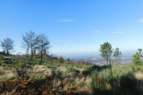 Tomt i Seia, Guarda, Seia - € 20 000 | Ref: 382220092 - foto 3