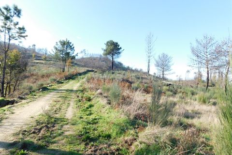 Tomt i Seia, Guarda, Seia - € 20 000 | Ref: 382220092 - foto 4