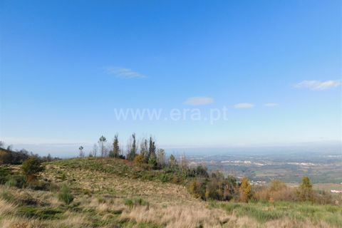 Tomt i Seia, Guarda, Seia - € 20 000 | Ref: 382220092 - foto 5