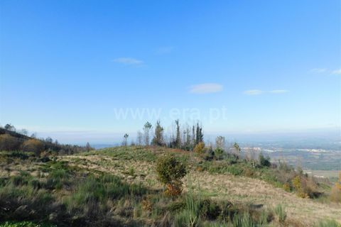 Tomt i Seia, Guarda, Seia - € 20 000 | Ref: 382220092 - foto 6
