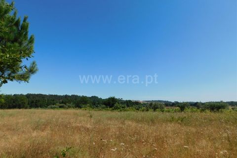 Helårsgrund i Seia, Guarda, Seia - € 16.500 | Ref: 382220007 - foto 3
