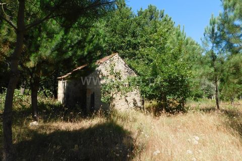 Helårsgrund i Seia, Guarda, Seia - € 16.500 | Ref: 382220007 - foto 4
