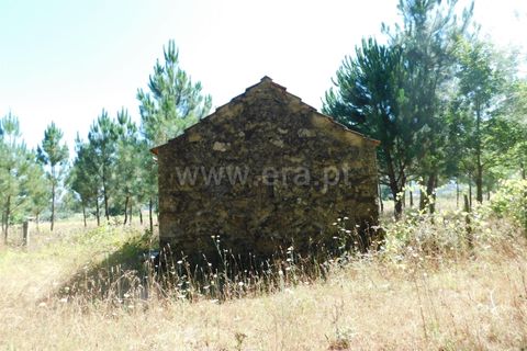 Helårsgrund i Seia, Guarda, Seia - € 16.500 | Ref: 382220007 - foto 5