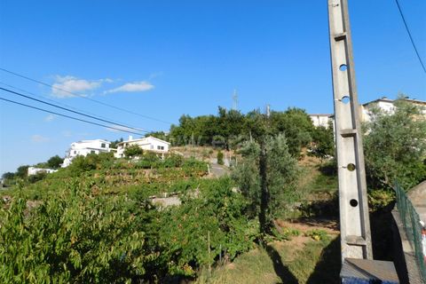 Terra a Seia, Guarda, Seia - € 25.000 | Ref: 382220012 - foto 2