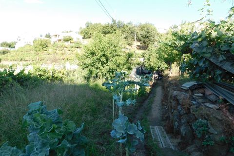 Terra a Seia, Guarda, Seia - € 25.000 | Ref: 382220012 - foto 4