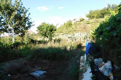 Terra a Seia, Guarda, Seia - € 25.000 | Ref: 382220012 - foto 5