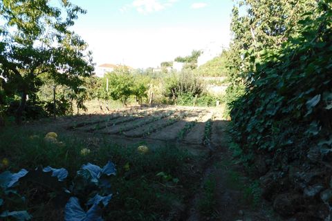 Terra a Seia, Guarda, Seia - € 25.000 | Ref: 382220012 - foto 6