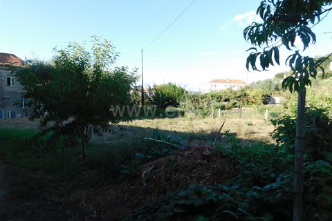 Terra a Seia, Guarda, Seia - € 25.000 | Ref: 382220012 - foto 7