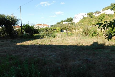 Terra a Seia, Guarda, Seia - € 25.000 | Ref: 382220012 - foto 8