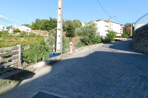 Terra a Seia, Guarda, Seia - € 25.000 | Ref: 382220012 - foto 9