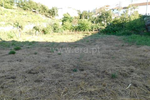 Terra a Seia, Guarda, Seia - € 25.000 | Ref: 382220012 - foto 11