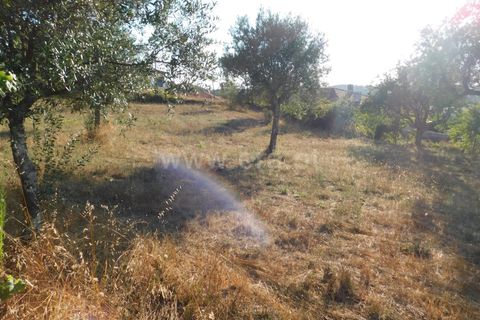 Terra a Seia, Guarda, Seia - € 70.000 | Ref: 382220013 - foto 3